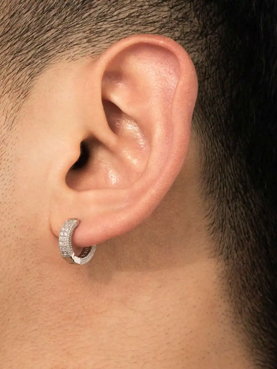 Cubic Zirconia Studded Hoop Ea - đánh giá và giá Hoop Earrings