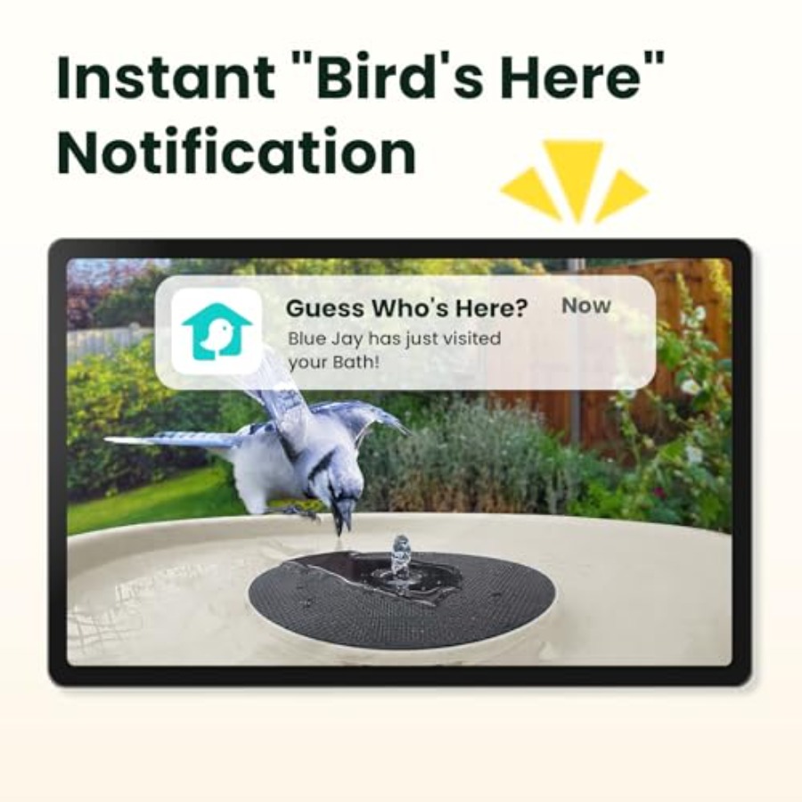 Bird Watching Smart Bird Bath  - đánh giá và giá Watches & Jewelry Repair Center Photos