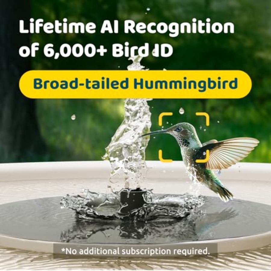 Bird Watching Smart Bird Bath  - đánh giá và giá Watches & Jewelry Repair Center Photos