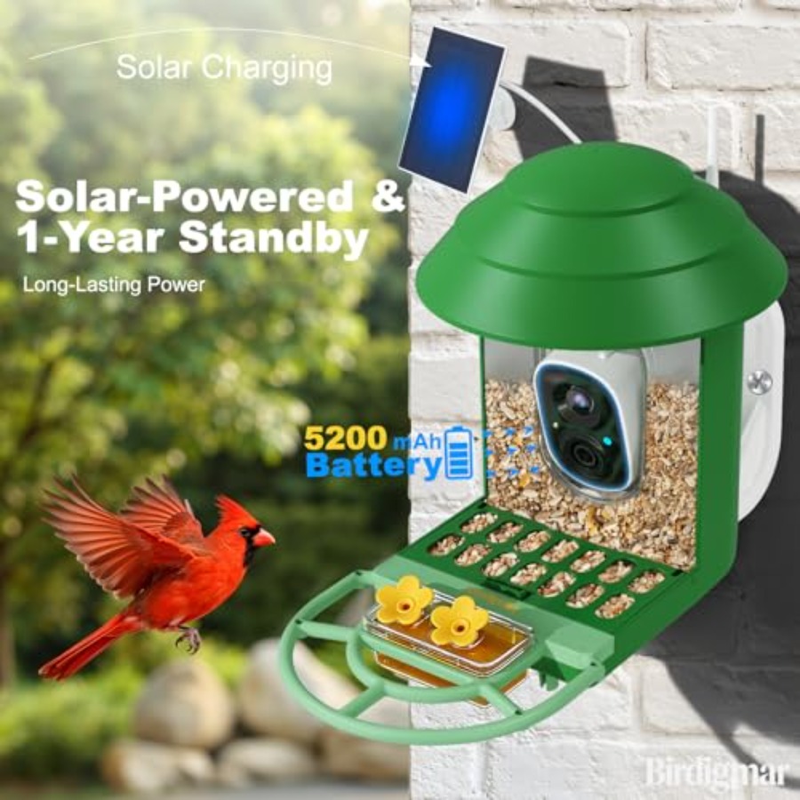 Bird Feeder with Camera for Ou - đánh giá và giá Watches & Jewelry Repair Center Photos