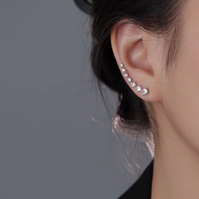 Super Sparkling Zircon Row Stu - đánh giá và giá Diamond Stud Earrings