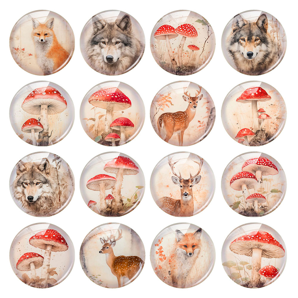 Random Mixed Round/Oval/Square - đánh giá và giá Wolf Jewelry & Watches Tampa Reviews